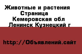  Животные и растения - Страница 24 . Кемеровская обл.,Ленинск-Кузнецкий г.